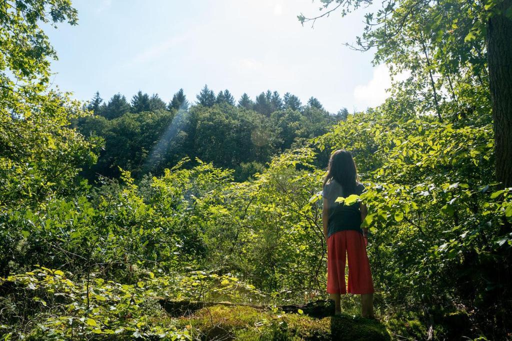 Camping Bockenauer Schweiz Luaran gambar